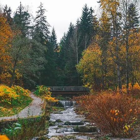 Przy Stoku In The Jungle Karpatia * Karpacz