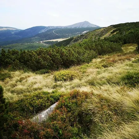 Appartement Przy Stoku In The Jungle Karpatia *