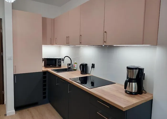 Apartment Przy Stoku In The Jungle Karpatia *