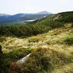 公寓 Przy Stoku In The Jungle Karpatia *