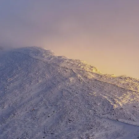 Appartamento Przy Stoku In The Jungle Karpatia