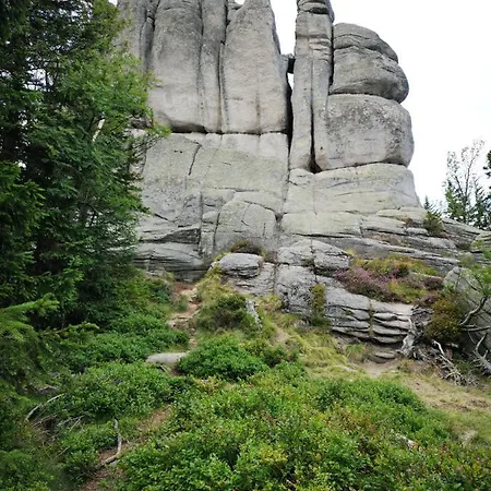 Przy Stoku In The Jungle Karpatia Apartamento Karpacz