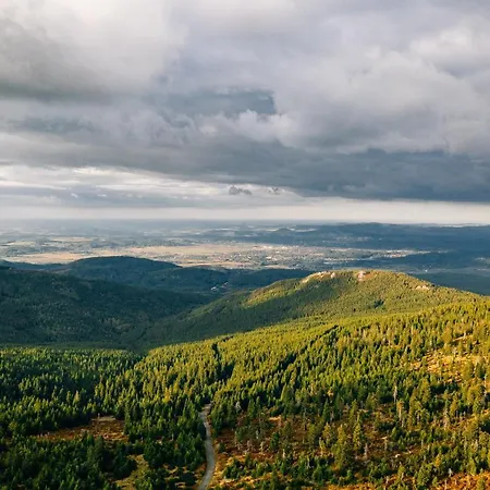 Przy Stoku In The Jungle Karpatia Apartmán