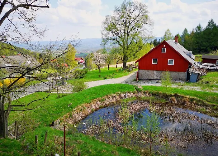 Przy Stoku In The Jungle Karpatia Appartement *