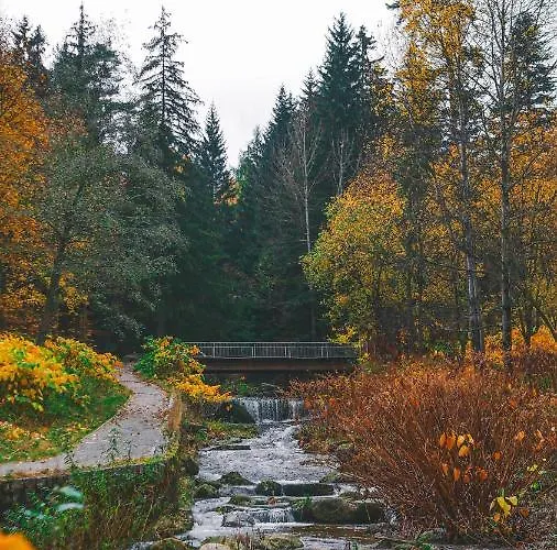 Przy Stoku In The Jungle Karpatia * Karpacz