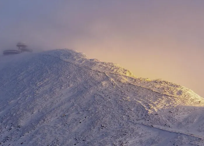Appartement Przy Stoku In The Jungle Karpatia