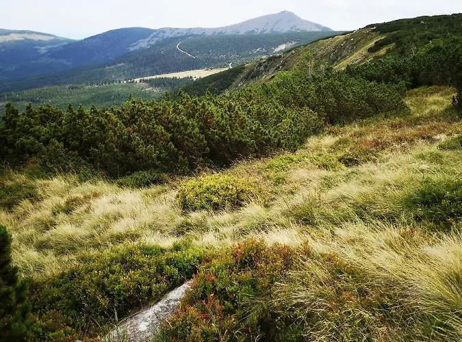 Appartement Przy Stoku In The Jungle Karpatia *