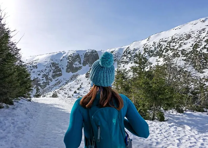 Przy Stoku In The Jungle Karpatia Appartamento *