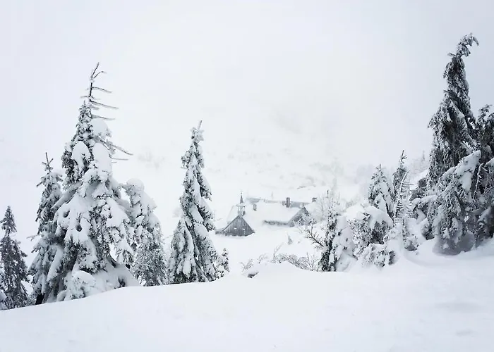 Appartement Przy Stoku In The Jungle Karpatia